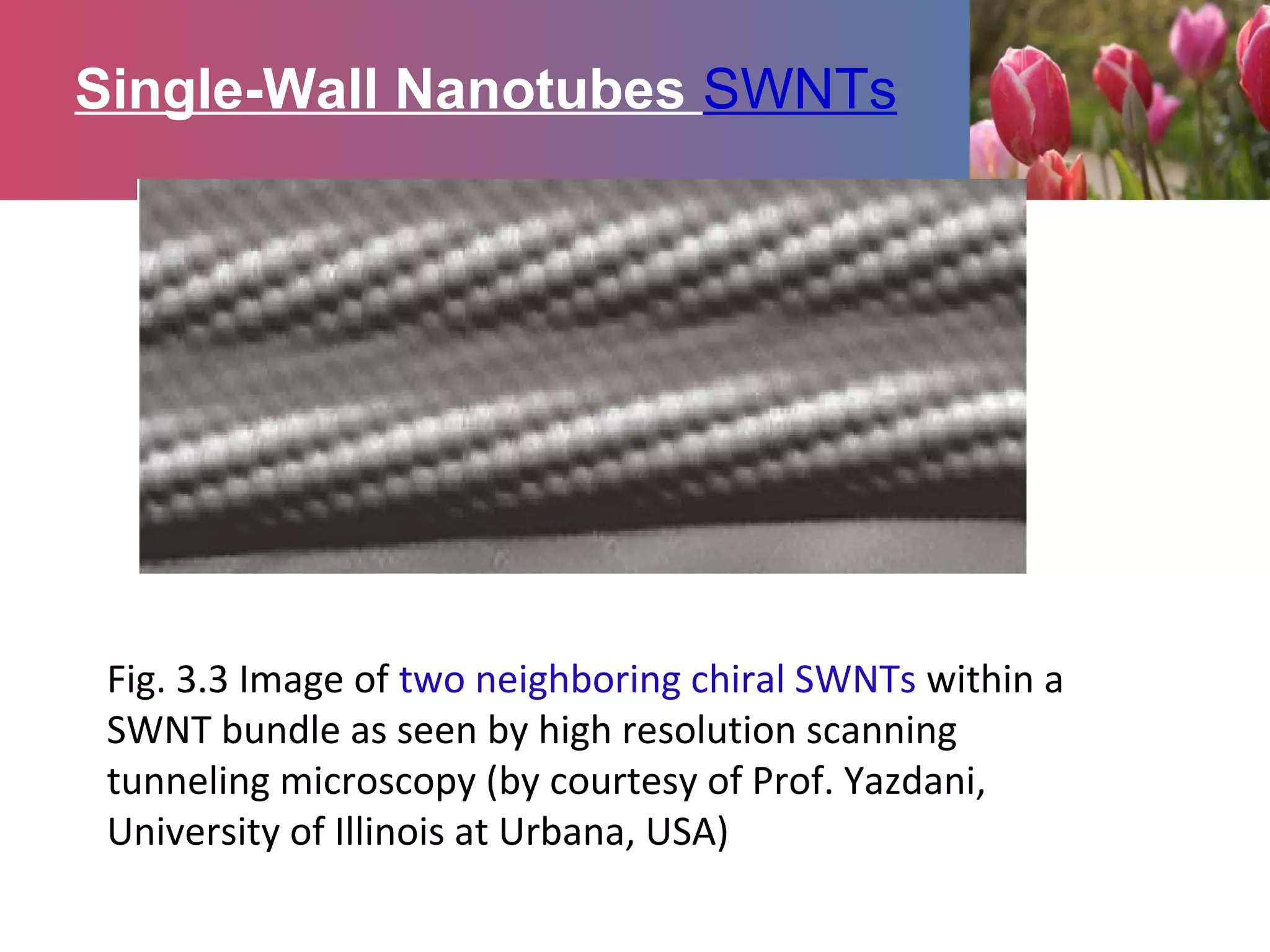 Single-Wall Nanotubes SWNTs
Fig. 3.3 Image of two neighboring chiral SWNTs within a
SWNT bundle as seen by high resolution scanning
tunneling microscopy (by courtesy of Prof. Yazdani,
University of Illinois at Urbana, USA)
 