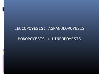 LEUCOPOYESIS: AGRANULOPOYESIS

 MONOPOYESIS + LINFOPOYESIS
 