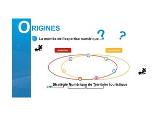 ORIGINES
La montée de l’expertise numérique…
Stratégie Numérique de Territoire touristique
 
