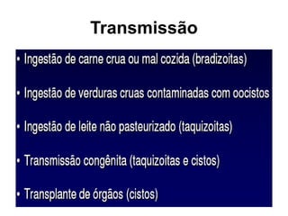 Transmissão
 