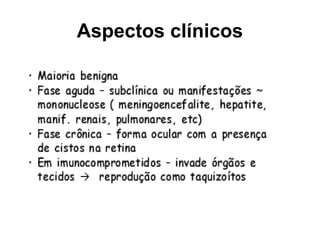 Aspectos clínicos
 