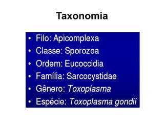 Taxonomia
 
