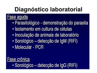 Diagnóstico laboratorial
 