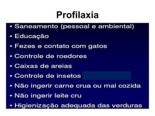 Profilaxia
 