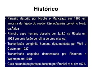 Histórico
 