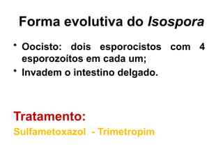 Forma evolutiva do Isospora
• Oocisto: dois esporocistos com 4
esporozoítos em cada um;
• Invadem o intestino delgado.
Tratamento:
Sulfametoxazol - Trimetropim
 