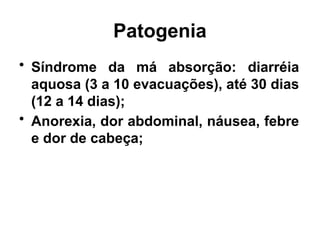 Patogenia
• Síndrome da má absorção: diarréia
aquosa (3 a 10 evacuações), até 30 dias
(12 a 14 dias);
• Anorexia, dor abdominal, náusea, febre
e dor de cabeça;
 