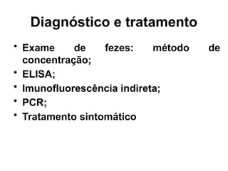 Diagnóstico e tratamento
• Exame de fezes: método de
concentração;
• ELISA;
• Imunofluorescência indireta;
• PCR;
• Tratamento sintomático
 