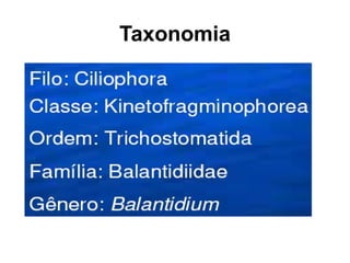 Taxonomia
 