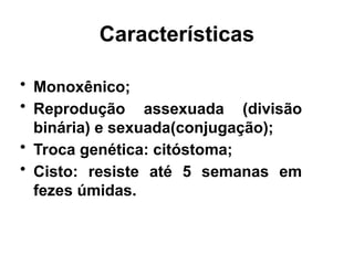 Características
• Monoxênico;
• Reprodução assexuada (divisão
binária) e sexuada(conjugação);
• Troca genética: citóstoma;
• Cisto: resiste até 5 semanas em
fezes úmidas.
 
