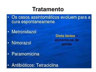 Tratamento
Dieta láctea –
alimenta-se de
amido
 