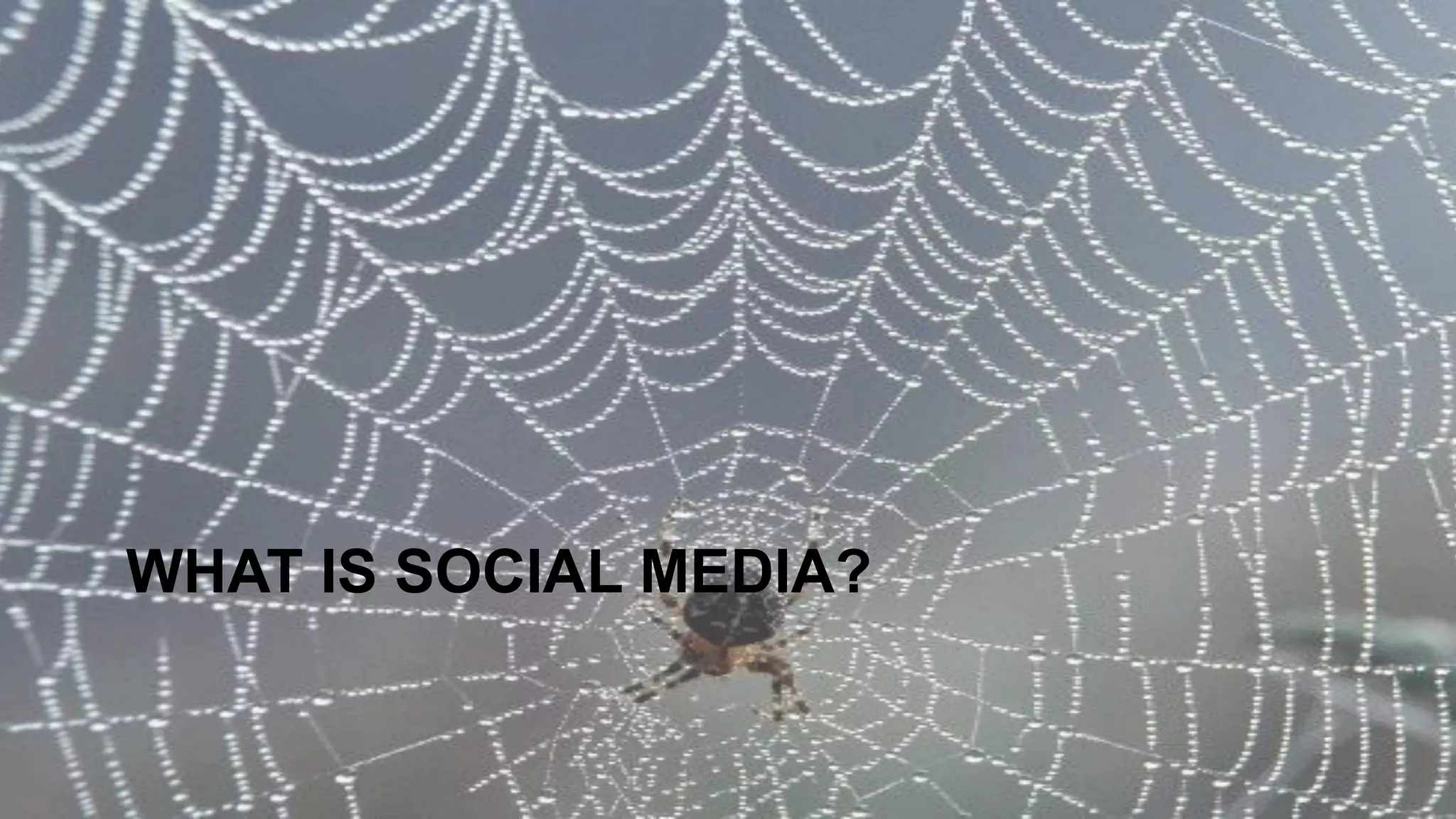 WHAT IS SOCIAL MEDIA? 
 