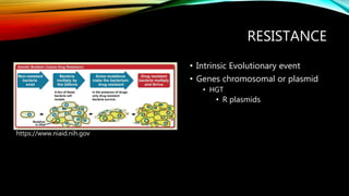 RESISTANCE
• Intrinsic Evolutionary event
• Genes chromosomal or plasmid
• HGT
• R plasmids
https://www.niaid.nih.gov
 