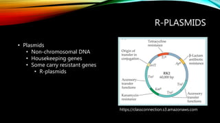 R-PLASMIDS
https://classconnection.s3.amazonaws.com
• Plasmids
• Non-chromosomal DNA
• Housekeeping genes
• Some carry resistant genes
• R-plasmids
 