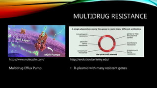 MULTIDRUG RESISTANCE
http://www.moleculin.com/
Multidrug Efflux Pump
http://evolution.berkeley.edu/
• R-plasmid with many resistant genes
 