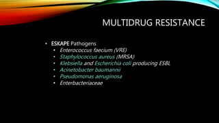 MULTIDRUG RESISTANCE
• ESKAPE Pathogens
• Enterococcus faecium (VRE)
• Staphylococcus aureus (MRSA)
• Klebsiella and Escherichia coli producing ESBL
• Acinetobacter baumannii
• Pseudomonas aeruginosa
• Enterbacteriaceae
 