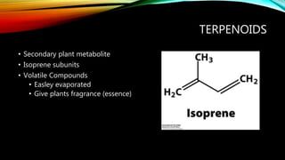 TERPENOIDS
• Secondary plant metabolite
• Isoprene subunits
• Volatile Compounds
• Easley evaporated
• Give plants fragrance (essence)
 