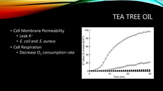 TEA TREE OIL
• Cell Membrane Permeability
• Leak K+
• E. coli and S. aureus
• Cell Respiration
• Decrease O2 consumption rate
 