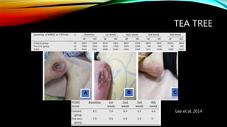 TEA TREE
Lee et al. 2014
 