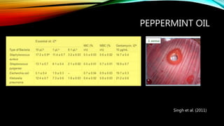 PEPPERMINT OIL
Singh et al. (2011)
 