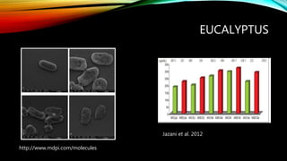 EUCALYPTUS
http://www.mdpi.com/molecules
Jazani et al. 2012
 