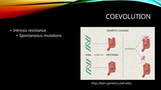 COEVOLUTION
• Intrinsic resistance
• Spontaneous mutations
http://learn.genetics.utah.edu/
 