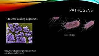 PATHOGENS
• Disease causing organisms
www.cdc.gov
http://www.bacteriainphotos.com/bact
eria-photo-gallery.html
 