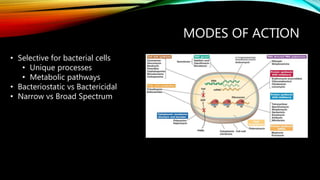 MODES OF ACTION
• Selective for bacterial cells
• Unique processes
• Metabolic pathways
• Bacteriostatic vs Bactericidal
• Narrow vs Broad Spectrum
 