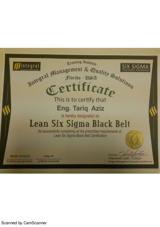 online six sigma black belt programs
