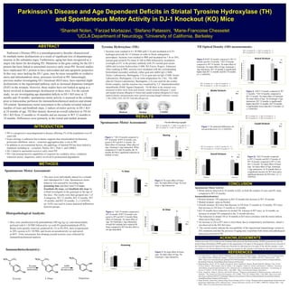 Parkinson’s Disease and Age Dependent Deficits in Striatal Tyrosine Hydroxylase (TH)
and Spontaneous Motor Activity in DJ-1 Knockout (KO) Mice
2
Shantell Nolen, 1
Farzad Mortazavi, 1
Stefano Patassini, 1
Marie-Francoise Chesselet
1
UCLA Department of Neurology, 2
University of California, Berkeley
ABSTRACT
INTRODUCTION
RESULTS
	 Parkinson’s Disease (PD) is a neurodegenerative disorder characterized
by multiple motor dysfunctions as a result of significant loss of dopaminergic
neurons in the substantia nigra. Furthermore, aging has been recognized as a
major risk factor for developing PD. Mutations in the gene coding for the DJ-1
protein has been linked to autosomal-recessive early onset PD. Several studies
have implicated DJ-1 protein to have antioxidant and anti-apoptotic properties.
In this way, mice lacking the DJ-1 gene, may be more susceptible to oxidative
stress and mitochondrion stress, processes involved in PD. Interestingly,
previous studies investigating DJ-1 knockout (KO) mice, have reported slight
dysfunctions in the nigrastriatal pathway such as increased dopamine transport
(DAT) in the striatum. However, these studies have not looked at aging as a
factor involved in dopaminergic dysfunction in these mice. For the current
study, we are investigating age dependent deficits in DJ-1 KO mice at 12
months and 18 months; spontaneous motor activity is assessed in the cylinder
prior to transcardiac perfusion for immunohistochemical analysis and striatal
TH content. Spontaneous motor assessment in the cylinder revealed reduced
number of rears and hindlimb steps, 2 indices of motor activity in DJ-1 KO
at 18 months of age. TH fiber density showed an overall reduction in TH for
DJ-1 KO from 12 months to 18 months and an increase in WT 12 months to
18 months. Differences were primarily in the rostral and medial striatum.
METHODS
CONCLUSION
REFERENCES
ACKNOWLEDGEMENTS
Spontaneous Motor Assessment:
Histopathological Analysis:
•	The mice were individually placed in a cylinder
and videotaped for 3 min. Spontaneous motor
behavior was assesed by recording their
grooming time and their total # of rears,
frontlimb (fl) steps, and hindlimb (hl) steps by
a blind investigator to the genotype or the age of
the mice. The results were then grouped into 1 of
4 categories, WT 12 months, KO 12 months, WT
18 months, and KO 18 months. 2 x 2 ANOVA,
(p< 0.05) was used to assess statistical differences
between groups.
Tyrosine L-Dopa Dopamine
•	Mice were anesthetized with pentobarbital (100 mg/ kg i.p.) and intracardially
perfused with 0.1 M PBS followed by ice cold 4% paraformaldehyde (PFA).
Brains were quickly removed, postﬁxed for 2 h in 4% PFA, then cryoprotected
in 30% sucrose in 0.1 M PBS, and frozen on powdered dry ice and stored
at 80°C. Forty micrometer free-ﬂoating coronal sections were collected for
immunohistochemical analysis.
Immunohistochemistry:
Spontaneous Motor Assessment:
WT 12 months N = 3, KO 12 months N = 5
WT 18 months N = 6, KO 18 months N = 4
Figure 1. * KO 18 months compared to
WT 18 months. # WT 18 months com-
pared to WT and KO 12 months. No
Main effect of Genotype. Main effect of
Age. Genotype x Age interaction. When
compared at 12 and 18 months, the 18
months KO have significant reduction in
number of rears.
Figure 2. No main effect of Geno-
type. No main effect of Age. No Gen-
otype x Age interaction.
Figure 3. No main effect of Geno-
type. No main effect of Age. No
Genotype x Age interaction.
Figure 4. * KO 18 months compared to
WT 18 months. # WT 18 months com-
pared to WT and KO 12 months.Main
effect of Genotype. No main effect of
Age. No Genotype x Age interaction.
Overall KO animals have reduced HL
Steps compared to WT but this effect is
not age dependent.
Figure 5. # WT 18 months compared to WT 12
months and KO 18 months. * KO 18 months
compared to WT 18 months. No main effect of
Genotype. No main effect of Age. Genotype x
Age interaction. WT 18 months is significantly
higher than WT 12 months and KO 18 months.
(2 x 2 ANOVA)
WT 12 months N = 3, KO 12 months N = 5
WT 18 months N = 6, KO 18 months N = 5
WT 12 months N = 9, KO 12 months N = 15
WT 18 months N = 18, KO 18 months N = 15
Figure 7. No statistical differences ob-
served at this level. (2 x 2 ANOVA)
Figure 8. * KO 18 months compared
to WT 12 months and KO 12 months. #
WT 18 months compared to WT 12 and
KO 12 months. No main effect of Geno-
type. No main effect of Age. Genotype
x Age interaction. At 18 months there is
a significant increase for WT mice and a
significant decrease for KO mice. (2 x 2
ANOVA)
For the following 4 graphs
•	PD is a progressive neurodegenerative disease effecting 1% of the population over 65
years old.
•	Exact etiology is unknown but evidence supports that mitochondrial dysfunction,
protesome inhibition, and œ – synuclein aggregation play a role in PD.
•	In addition to environmental factors, the pathology of familial PD has been linked to
mutations including œ – synuclein, Parkin, DJ-1, Pink-1, and LRRK2.
•	DJ-1 linked to autosomal-recessive early onset PD
•	DJ-1 has neuroprotective capabilities in response too oxidative stress, oxidation/
reduction sensor, chaperone, and/or involved in proteasomal degradation.
Rostral Medial Caudal
Tyrosine Hydroxylase (TH):
•	Sections were washed in 0.1 M PBS (pH=7.4) and incubated in 0.3%
hydrogen peroxide for 15 minutes in order to block endogenous
peroxidases. Sections were washed in PBS and incubated for 1 hr in 10%
normal goat serum/0.3% triton X-100 in PBS followed by incubation
overnight at 4°C in the primary antibody with 2% normal goat serum:
rabbit anti-tyrosine hydroxylase (1/600, Pel Freeze, Rogers, Arkansas).
After washing in PBS, sections were incubated with the corresponding
biotynilated secondary antibody, either goat anti-rabbit IgG (1/600,
Vector, Laboratories, Burlingame, CA) or goat anti-rat IgG (1/600, Vector
Laboratories, Burlingame, CA) at room temperature for 2 hrs. The ABC
elite kit (Vector Laboratories, Burlingame, CA) was used for the avidin-
biotin complex, and the reaction was visualized by 3,3”-diaminobenzidine
tetrachloride (DAB, Sigma Chemical). TH-IR fibers in the striatum were
measured in three slices from each animal: rostral striatum (Bregma 1.1mm)
and medial striatum (Bregma 0.14mm) and caudal striatum (Bregma 0.22 mm).
Optical density measurements were carried out using ImageJ software, version
1.38x (NIH, USA, HTTP://rsb.info.nih.gov/ij).
Spontaneous Motor Activity
•	Motor deficits observed at 18 months in KO, in both the number of rears and HL steps,
compared to WT 18 months.
Immunohistochemistry
•	Rostral striatum: TH reduction in KO 18 months but increase in WT 18 months
•	Medial striatum: same as Rostral
•	Overall striatum: KO mice had decrease in TH from 12 months to 18 months, WT mice
had increase in TH from 12 months to 18 months
•	KO 18 months have reduction in striatal TH, whereas in WT mice at 18 months, an
increase in striatal TH compared to the 12 month old mice.
•	The reduction in striatal TH at 18 months in KO mice correlates with the motor deficits
observed in these mice.
•	An increase in TH in WT mice is most likely due to compensatory mechanisms, which is
not observed in the DJ1 KO mice.
•	 The current results indicate the succeptibility of the nigrostriatal dopaminergic system to
DJ1 mutations and that the processe of aging may exacerbate both motor and pathological
processes involved in PD.
WT 12 months N = 3, KO 12 months N = 5
WT 18 months N = 6, KO 18 months N = 5
Figure 6. # KO 12 months compared to WT
12 months. * KO 18 months compared to
KO 12 months. No main effect of Genotype.
No main effect of Age. No Genotype x Age
interaction. WT 12 months is significantly
higher than KO 12 months. KO 18 months
is significantly lower than KO 12 months. (2
x 2 ANOVA)
0 
5 
10 
15 
20 
25 
30 
35 
40 
45 
12 months  18 months 
!"#sit' o* +,-.osi/0" 1i2"rs 
Rostral Striatum 
WT 
KO 
# 
* 
0 
10 
20 
30 
40 
50 
60 
12 Months  18 Months 
!e#$it' )* +,-.)$i/0e 1i2er$ 
Medial Striatum  WT 
KO 
* 
# 
0 
5 
10 
15 
20 
25 
30 
35 
40 
45 
12 Months  18 Months 
!"#$it' )* +,-.)$i/0" 1i2"r$ 
Caudal Striatum  WT 
KO 
0 
5 
10 
15 
20 
25 
30 
35 
40 
45 
12 Months  18 Months 
!e#$it' )* +,-.)$i/ve 1i2er$ 
Overall Striatum  WT 
KO 
0 
5 
10 
15 
20 
25 
12 Months  18 Months 
Seconds of Grooming 
Grooming 
WT 
KO 
0 
10 
20 
30 
40 
50 
60 
70 
80 
12 Months  18 Months 
Number of HL Steps 
HL Steps 
WT 
KO 
0 
10 
20 
30 
40 
50 
60 
70 
80 
90 
100 
12 Months  18 Months 
Number of FL Steps 
FL Steps 
WT 
KO 
# 
* 
0 
2 
4 
6 
8 
10 
12 
14 
16 
18 
20 
12 Months  18 Months 
Number of Rears 
Rearing 
WT 
KO 
# 
* 
TH Optical Density (OD) measurements:
WT 12 months N = 3, KO 12 months N = 5
WT 18 months N = 6, KO 18 months N = 5
# 
* 
# 
* 
Thank you to the UCLAAlliance for Graduate Education and the Professoriate (AGEP) sponsored by the Na-
tional Science Foundation (NSF) grant, for the opportunity to be apart of the program. Thank you to everyone in
the Chesselet lab and Dr. Marie-Francoise Chesselet for allowing me to be apart of the lab this summer. A spe-
cial thanks to Dr. Farzad Mortazavi for being my mentor for the summer and letting me take part in his research.
1.	Liu, Fang, Jamie L. Nguyen, John D. Hullerman, Li Li, and Jean-Christophe Rochet. “Mechanisms of DJ-1 neuroprotection
in a cellular model of Parkinson’s disease.” Journal of Neurochemistry 105.6 (2008): 2435-453. Pubmed. Web. 1 July
2009. <http://www.ncbi.nlm.nih.gov/pubmed/18331584?ordinalpos=1&itool=EntrezSystem2.PEntrez.Pubmed.Pubmed_
ResultsPanel.Pubmed_DefaultReportPanel.Pubmed_RVDocSum>.
2.	Manning-Bog, Amy B., W. M. Caudle, Xiomara A. Perez, Stephen H. Reaney, Ronald Palwtzki, Martha Z. Isla, Vivian
P. Chou, Alison L. McCormack, Gary W. Miller, J. W. Langston, Charles R. Gerfen, and Donato A. DiMonte. “Increased
vulnerability of nigrostriatal terminals in DJ-1-deficient mice is mediated by the dopamine transporter.” Neurobiology of
Disease 27 (2007): 141-50. Pubmed. Web. 1 July 2009. <http://www.ncbi.nlm.nih.gov/sites/entrez>.
3.	Savitt, Joseph M., Valina L. Dawson, and Ted M. Dawson. “Diagnosis and treatment of Parkinson disease: molecules to
medicine.” The Journal of Clinical Investigation 116.7 (2006): 1744-754. Pubmed. Web. 1 July 2009. <http://www.ncbi.
nlm.nih.gov/pubmed/16823471?ordinalpos=4&itool=EntrezSystem2.PEntrez.Pubmed.Pubmed_ResultsPanel.Pubmed_
DefaultReportPanel.Pubmed_RVDocSum>.
4.	Yang, Wonsuk, Linan Chen, Yunmin Ding, Xiaoxi Zhuang, and Un J. Kang. “Paraquat induces dopaminergic dysfunction and
proteasome impairment in DJ-1-deficient mice.” Human Molecular Genetics 16.23 (2007): 2900-910. Pubmed. Web. 1 July
2009. <http://www.ncbi.nlm.nih.gov/sites/entrez>.
 