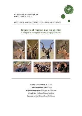 UNIVERSITY OF COPENHAGEN
FACULTY OF SCIENCE
CENTER FOR MACROECOLOGY, EVOLUTION AND CLIMATE
Impacts of human use on species
Changes in biological traits and populations
Louise Kjær-Hansen 60 ECTS
Thesis submission: 14.10.2016
Academic supervisor Professor Neil Burgess
Co-advisor Professor Nathan Sanders
External advisor Doctor Jonas Geldmann
 