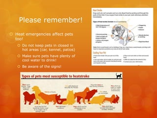 Please remember!
 Heat emergencies affect pets
too!
 Do not keep pets in closed in
hot areas (car, kennel, patios)
 Make sure pets have plenty of
cool water to drink!
 Be aware of the signs!
 