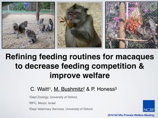 Reﬁning feeding routines for macaques
to decrease feeding competition &
improve welfare
 C. Waitt1, M. Bushmitz2 & P. Honess3
1Dept Zoology, University of Oxford,
2BFC, Mazor, Israel
3Dept Veterinary Services, University of Oxford
2010 NC3Rs Primate Welfare Meeting
 