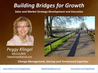 Building Bridges for Growth
www.linkedin.com/in/PeggyKlingel
Peggy Klingel
www.twitter.com/PeggyKlingelPeggyKlingel@gmail.com
Sales and Market Strategy Development and Execution
Change Management, Startup and Turnaround Expertise
PeggyKlingel@gmail.com
608-512-8830
 