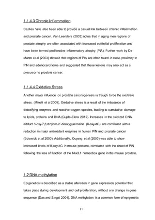 11
1.1.4.3 Chronic Inflammation
Studies have also been able to provide a casual link between chronic inflammation
and prostate cancer. Van Leenders (2003) notes that in aging men regions of
prostate atrophy are often associated with increased epithelial proliferation and
have been termed proliferative inflammatory atrophy (PIA). Further work by De
Marzo et al (2003) showed that regions of PIA are often found in close proximity to
PIN and adenocarcinoma and suggested that these lesions may also act as a
precursor to prostate cancer.
1.1.4.4 Oxidative Stress
Another major influence on prostate carcinogenesis is though to be the oxidative
stress. (Minelli et al 2009). Oxidative stress is a result of the imbalance of
detoxifying enzymes and reactive oxygen species, leading to cumulative damage
to lipids, proteins and DNA (Gupta-Elera 2012). Increases in the oxidized DNA
adduct 8-oxy-7,8,dihydro-2’-deoxyguanosine (8-oxy-dG) are correlated with a
reduction in major antioxidant enzymes in human PIN and prostate cancer
(Botswick et al 2000). Additionally, Ouyang et al (2005) was able to show
increased levels of 8-oxy-dG in mouse prostate, correlated with the onset of PIN
following the loss of function of the Nkx3.1 homeobox gene in the mouse prostate.
1.2 DNA methylation
Epigenetics is described as a stable alteration in gene expression potential that
takes place during development and cell proliferation, without any change in gene
sequence (Das and Singal 2004). DNA methylation is a common form of epigenetic
 