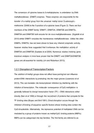 13
The conversion of cytosine bases to 5-methylcytosine is undertaken by DNA
methyltransferase (DNMT) enzymes. These enzymes are responsible for the
transfer of a methyl group from the universal methyl donor S-adenosyl-L-
methionine (SAM) to the 5-position of a cytosine base (Figure 2). There are four
members of the DNMT family: DNMT1, DNMT3A, DNMT3B and DNMT3L.
DNMT3A and DNMT3B both encode for de novo methyltransferases (Sigalotti et al
2010) whilst DNMT1 encodes the maintenance methyltransferase. Unlike the other
DNMTs, DNMT3L has not been shown to have any inherent enzymatic activity,
however studies have suggested that it enhances the methylation activity of
DNMT3A and DNMT3B (Suetake et al 2004). Numerous studies involving gene
knockout analysis in mice have proven that the DNMT1 and DNMT3A/DNMT3B
genes are all essential for viability (Jin and Robertson 2013).
1.2.1 Disruption of Transcription Factors
The addition of methyl groups does not affect base pairing but can influence
protein-DNA interactions by protruding into the major groove (Lazarovici et al
2013). This can translate into transcriptional inhibition by interfering with the
initiation of transcription. The molecular consequence of CpG methylation is
generally believed to disrupt transcription factor (TF) – DNA interactions either
directly (Nan et al 1998) or through the recruitment of proteins that compete for the
TF binding sites (Boyes and Bird 1991). Direct disruption occurs through the
inhibition of binding of sequence specific factors whose binding sites contain the
CpG dinucleotide. Alternatively, the repressive potential of methylated DNA can be
mediated by a group of proteins known as methyl-CpG binding proteins (MBPs).
MBPs can be categorized into two families: The first family are referred to as
 
