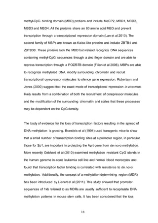 14
methyl-CpG binding domain (MBD) protiens and include MeCP2, MBD1, MBD2,
MBD3 and MBD4. All the proteins share an 80 amino acid MBD and prevent
transcription through a transcriptional repression domain (Lan et al 2010). The
second family of MBPs are known as Kaiso-like proteins and include ZBTB4 and
ZBTB38. These proteins lack the MBD but instead recognize DNA sequences
containing methyl-CpG sequences through a zinc finger domain and are able to
repress transcription through a POZ/BTB domain (Filion et al 2006). MBPs are able
to recognize methylated DNA, modify surrounding chromatin and recruit
transcriptional corepressor molecules to silence gene expression. Robertson and
Jones (2000) suggest that the exact mode of transcriptional repression in vivo most
likely results from a combination of both the recruitment of corepressor molecules
and the modification of the surrounding chromatin and states that these processes
may be dependent on the CpG density.
The body of evidence for the loss of transcription factors resulting in the spread of
DNA methylation is growing. Brandeis et al (1994) used transgenic mice to show
that a small number of transcription binding sites at a promoter region, in particular
those for Sp1, are important in protecting the Aprt gene from de novo methylation.
More recently Gebhard et al (2010) examined methylation resistant CpG islands in
the human genome in acute leukemia cell line and normal blood monocytes and
found that transcription factor binding is correlated with resistance to de novo
methylation. Additionally, the concept of a methylation-determining region (MDR)
has been introduced by Lienert et al (2011). This study showed that promoter
sequences of 1kb referred to as MDRs are usually sufficient to recapitulate DNA
methylation patterns in mouse stem cells. It has been considered that the loss
 