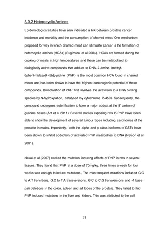 31
3.0.2 Heterocyclic Amines
Epidemiological studies have also indicated a link between prostate cancer
incidence and mortality and the consumption of charred meat. One mechanism
proposed for way in which charred meat can stimulate cancer is the formation of
heterocyclic amines (HCAs) (Sugimura et al 2004). HCAs are formed during the
cooking of meats at high temperatures and these can be metabolized to
biologically active compounds that adduct to DNA. 2-amino-1methyl-
6phenlimidazo[4,-5b]pyridine (PhIP) is the most common HCA found in charred
meats and has been shown to have the highest carcinogenic potential of these
compounds. Bioactivation of PhIP first involves the activation to a DNA binding
species by N-hydroxylation, catalysed by cytochrome P-450s. Subsequently, the
compound undergoes esterification to form a major adduct at the 8’ carbon of
guanine bases (Arlt et al 2011). Several studies exposing rats to PhIP have been
able to show the development of several tumour types including carcinomas of the
prostate in males. Importantly, both the alpha and pi class isoforms of GSTs have
been shown to inhibit adduction of activated PhIP metabolites to DNA (Nelson et al
2001).
Nakai et al (2007) studied the mutation inducing effects of PhIP in rats in several
tissues. They found that PhIP at a dose of 70mg/kg, three times a week for four
weeks was enough to induce mutations. The most frequent mutations included G:C
to A:T transitions, G:C to T:A transversions, G:C to C:G transversions and -1 base
pair deletions in the colon, spleen and all lobes of the prostate. They failed to find
PhIP induced mutations in the liver and kidney. This was attributed to the cell
 