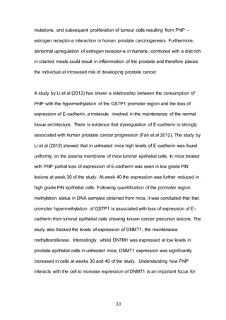 33
mutations, and subsequent proliferation of tumour cells resulting from PhIP –
estrogen receptor-a interaction in human prostate carcinogenesis. Furthermore,
abnormal upregulation of estrogen receptor-a in humans, combined with a diet rich
in charred meats could result in inflammation of the prostate and therefore places
the individual at increased risk of developing prostate cancer.
A study by Li et al (2012) has shown a relationship between the consumption of
PhIP with the hypermethylation of the GSTP1 promoter region and the loss of
expression of E-cadherin, a molecule involved in the maintenance of the normal
tissue architecture. There is evidence that dysregulation of E-cadherin is strongly
associated with human prostate cancer progression (Fan et al 2012). The study by
Li et al (2012) showed that in untreated mice high levels of E-cadherin was found
uniformly on the plasma membrane of mice luminal epithelial cells. In mice treated
with PhIP partial loss of expression of E-cadherin was seen in low grade PIN
lesions at week 30 of the study. At week 40 the expression was further reduced in
high grade PIN epithelial cells. Following quantification of the promoter region
methylation status in DNA samples obtained from mice, it was concluded that that
promoter hypermethylation of GSTP1 is associated with loss of expression of E-
cadherin from luminal epithelial cells showing known cancer precursor lesions. The
study also tracked the levels of expression of DNMT1, the maintenance
methyltransferase. Interestingly, whilst DNTM1 was expressed at low levels in
prostate epithelial cells in untreated mice, DNMT1 expression was significantly
increased in cells at weeks 30 and 40 of the study. Understanding how PhIP
interacts with the cell to increase expression of DNMT1 is an important focus for
 
