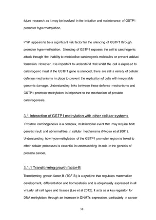 34
future research as it may be involved in the initiation and maintenance of GSTP1
promoter hypermethylation.
PhIP appears to be a significant risk factor for the silencing of GSTP1 through
promoter hypermethylation. Silencing of GSTP1 exposes the cell to carcinogenic
attack through the inability to metabolise carcinogenic molecules or prevent adduct
formation. However, it is important to understand that whilst the cell is exposed to
carcinogenic insult if the GSTP1 gene is silenced, there are still a variety of cellular
defense mechanisms in place to prevent the replication of cells with irreparable
genomic damage. Understanding links between these defense mechanisms and
GSTP1 promoter methylation is important to the mechanism of prostate
carcinogenesis.
3.1 Interaction of GSTP1 methylation with other cellular systems
Prostate carcinogenesis is a complex, multifactorial event that may require both
genetic insult and abnormalities in cellular mechanisms (Nwosu et al 2001).
Understanding how hypermethylation of the GSTP1 promoter region is linked to
other cellular processes is essential in understanding its role in the genesis of
prostate cancer.
3.1.1 Transforming growth factor-B
Transforming growth factor-Β (TGF-B) is a cytokine that regulates mammalian
development, differentiation and homeostasis and is ubiquitously expressed in all
virtually all cell types and tissues (Lee et al 2012). It acts as a key regulator for
DNA methylation through an increase in DNMTs expression, particularly in cancer
 