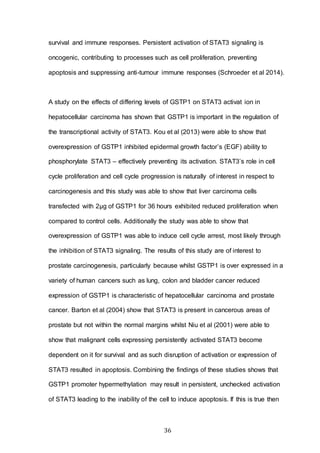 36
survival and immune responses. Persistent activation of STAT3 signaling is
oncogenic, contributing to processes such as cell proliferation, preventing
apoptosis and suppressing anti-tumour immune responses (Schroeder et al 2014).
A study on the effects of differing levels of GSTP1 on STAT3 activat ion in
hepatocellular carcinoma has shown that GSTP1 is important in the regulation of
the transcriptional activity of STAT3. Kou et al (2013) were able to show that
overexpression of GSTP1 inhibited epidermal growth factor’s (EGF) ability to
phosphorylate STAT3 – effectively preventing its activation. STAT3’s role in cell
cycle proliferation and cell cycle progression is naturally of interest in respect to
carcinogenesis and this study was able to show that liver carcinoma cells
transfected with 2μg of GSTP1 for 36 hours exhibited reduced proliferation when
compared to control cells. Additionally the study was able to show that
overexpression of GSTP1 was able to induce cell cycle arrest, most likely through
the inhibition of STAT3 signaling. The results of this study are of interest to
prostate carcinogenesis, particularly because whilst GSTP1 is over expressed in a
variety of human cancers such as lung, colon and bladder cancer reduced
expression of GSTP1 is characteristic of hepatocellular carcinoma and prostate
cancer. Barton et al (2004) show that STAT3 is present in cancerous areas of
prostate but not within the normal margins whilst Niu et al (2001) were able to
show that malignant cells expressing persistently activated STAT3 become
dependent on it for survival and as such disruption of activation or expression of
STAT3 resulted in apoptosis. Combining the findings of these studies shows that
GSTP1 promoter hypermethylation may result in persistent, unchecked activation
of STAT3 leading to the inability of the cell to induce apoptosis. If this is true then
 