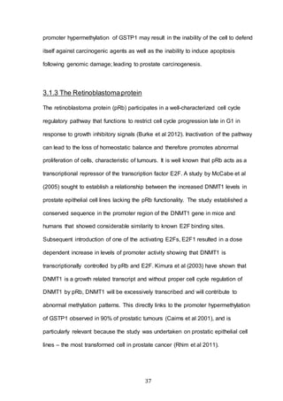 37
promoter hypermethylation of GSTP1 may result in the inability of the cell to defend
itself against carcinogenic agents as well as the inability to induce apoptosis
following genomic damage; leading to prostate carcinogenesis.
3.1.3 The Retinoblastomaprotein
The retinoblastoma protein (pRb) participates in a well-characterized cell cycle
regulatory pathway that functions to restrict cell cycle progression late in G1 in
response to growth inhibitory signals (Burke et al 2012). Inactivation of the pathway
can lead to the loss of homeostatic balance and therefore promotes abnormal
proliferation of cells, characteristic of tumours. It is well known that pRb acts as a
transcriptional repressor of the transcription factor E2F. A study by McCabe et al
(2005) sought to establish a relationship between the increased DNMT1 levels in
prostate epithelial cell lines lacking the pRb functionality. The study established a
conserved sequence in the promoter region of the DNMT1 gene in mice and
humans that showed considerable similarity to known E2F binding sites.
Subsequent introduction of one of the activating E2Fs, E2F1 resulted in a dose
dependent increase in levels of promoter activity showing that DNMT1 is
transcriptionally controlled by pRb and E2F. Kimura et al (2003) have shown that
DNMT1 is a growth related transcript and without proper cell cycle regulation of
DNMT1 by pRb, DNMT1 will be excessively transcribed and will contribute to
abnormal methylation patterns. This directly links to the promoter hypermethylation
of GSTP1 observed in 90% of prostatic tumours (Cairns et al 2001), and is
particularly relevant because the study was undertaken on prostatic epithelial cell
lines – the most transformed cell in prostate cancer (Rhim et al 2011).
 