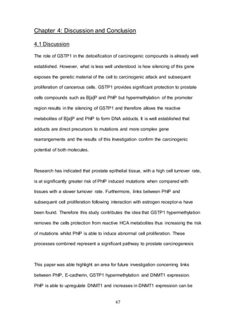 47
Chapter 4: Discussion and Conclusion
4.1 Discussion
The role of GSTP1 in the detoxification of carcinogenic compounds is already well
established. However, what is less well understood is how silencing of this gene
exposes the genetic material of the cell to carcinogenic attack and subsequent
proliferation of cancerous cells. GSTP1 provides significant protection to prostate
cells compounds such as B[a]P and PhIP but hypermethylation of the promoter
region results in the silencing of GSTP1 and therefore allows the reactive
metabolites of B[a]P and PhIP to form DNA adducts. It is well established that
adducts are direct precursors to mutations and more complex gene
rearrangements and the results of this Investigation confirm the carcinogenic
potential of both molecules.
Research has indicated that prostate epithelial tissue, with a high cell turnover rate,
is at significantly greater risk of PhIP induced mutations when compared with
tissues with a slower turnover rate. Furthermore, links between PhIP and
subsequent cell proliferation following interaction with estrogen receptor-a have
been found. Therefore this study contributes the idea that GSTP1 hypermethylation
removes the cells protection from reactive HCA metabolites thus increasing the risk
of mutations whilst PhIP is able to induce abnormal cell proliferation. These
processes combined represent a significant pathway to prostate carcinogenesis
This paper was able highlight an area for future investigation concerning links
between PhIP, E-cadherin, GSTP1 hypermethylation and DNMT1 expression.
PhIP is able to upregulate DNMT1 and increases in DNMT1 expression can be
 