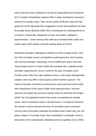 9
events that lead to their development into clinical disease (Bratt and Schumacher
2011). Prostatic intraepithelial neoplasia (PIN) is widely considered to represent a
precursor for prostate cancer. There are two grades of PIN (low grade and high
grade) but it is the high grade that is suggested to be the most significant risk factor
for prostate cancer (Botswick 2000). PIN is characterized at a histological level by
a reduction in basal cells, enlargement of nuclei and nucleoli, cytoplasmic
hyperchromasia – darker staining of the cells due to increased DNA content and
nuclear atypia which includes chromatin clearing (Iwata et al 2010).
Despite the phenotypic heterogeneity exhibited by human prostate cancer, more
than 95% of prostate cancers are classified as adenocarcinoma, which presents
with a luminal phenotype. Interestingly, Ma et al (2005) were able to show that
many prostate cancers in mouse models also presented with a relatively luminal
phenotype supporting their use as a model for the study of prostate cancer.
Prostate cancer differs from other epithelial tumours in that it lacks distinguishable
subtypes which may differ in both prognosis and/or treatment approach. The
majority of prostate carcinomas are described as acinar adenocarcinomas whilst
other classifications of the cancer include ductal adenocarcinoma, mucinous
carcinoma and signet ring carcinoma; however these are extremely rare Gringon
(2004). The most significant variant of the cancer is neuroendocrine prostate
cancer, which is classified as either a carcinoid tumour or a small cell carcinoma;
this variation is said to represent less than 2% of prostate cancer incidences.
Common sites of secondary metastasis for prostate cancer include lung, liver and
pleura. However if a prostate cancer does mestastasize it consistently moves to
bone where it forms characteristic osteoblastic lesions (Logothetis and Lin 2005).
 