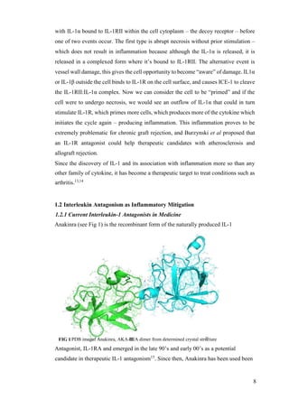 8
with IL-1α bound to IL-1RII within the cell cytoplasm – the decoy receptor – before
one of two events occur. The first type is abrupt necrosis without prior stimulation –
which does not result in inflammation because although the IL-1α is released, it is
released in a complexed form where it’s bound to IL-1RII. The alternative event is
vessel wall damage, this gives the cell opportunity to become “aware” of damage. IL1α
or IL-1β outside the cell binds to IL-1R on the cell surface, and causes ICE-1 to cleave
the IL-1RII:IL-1α complex. Now we can consider the cell to be “primed” and if the
cell were to undergo necrosis, we would see an outflow of IL-1α that could in turn
stimulate IL-1R, which primes more cells, which produces more of the cytokine which
initiates the cycle again – producing inflammation. This inflammation proves to be
extremely problematic for chronic graft rejection, and Burzynski et al proposed that
an IL-1R antagonist could help therapeutic candidates with atherosclerosis and
allograft rejection.
Since the discovery of IL-1 and its association with inflammation more so than any
other family of cytokine, it has become a therapeutic target to treat conditions such as
arthritis.13,14
1.2 Interleukin Antagonism as Inflammatory Mitigation
1.2.1 Current Interleukin-1 Antagonists in Medicine
Anakinra (see Fig 1) is the recombinant form of the naturally produced IL-1
Antagonist, IL-1RA and emerged in the late 90’s and early 00’s as a potential
candidate in therapeutic IL-1 antagonism15
. Since then, Anakinra has been used been
FIG 1. PDB imageof Anakinra, AKA IL-1RA dimer from determined crystal structure20
 
