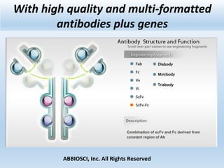 ABBIOSCI, Inc. All Rights Reserved
With high quality and multi-formatted
antibodies plus genes
 