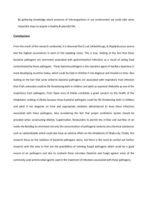 about traveling essay healthy