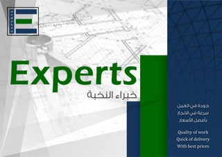 Experts Profile