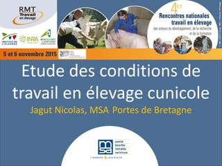 Etude des conditions de
travail en élevage cunicole
Jagut Nicolas, MSA Portes de Bretagne
 