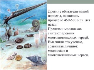 Какое значение имеет вода для обитателей нашей